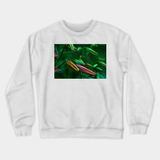 Jeweled Crewneck Sweatshirt